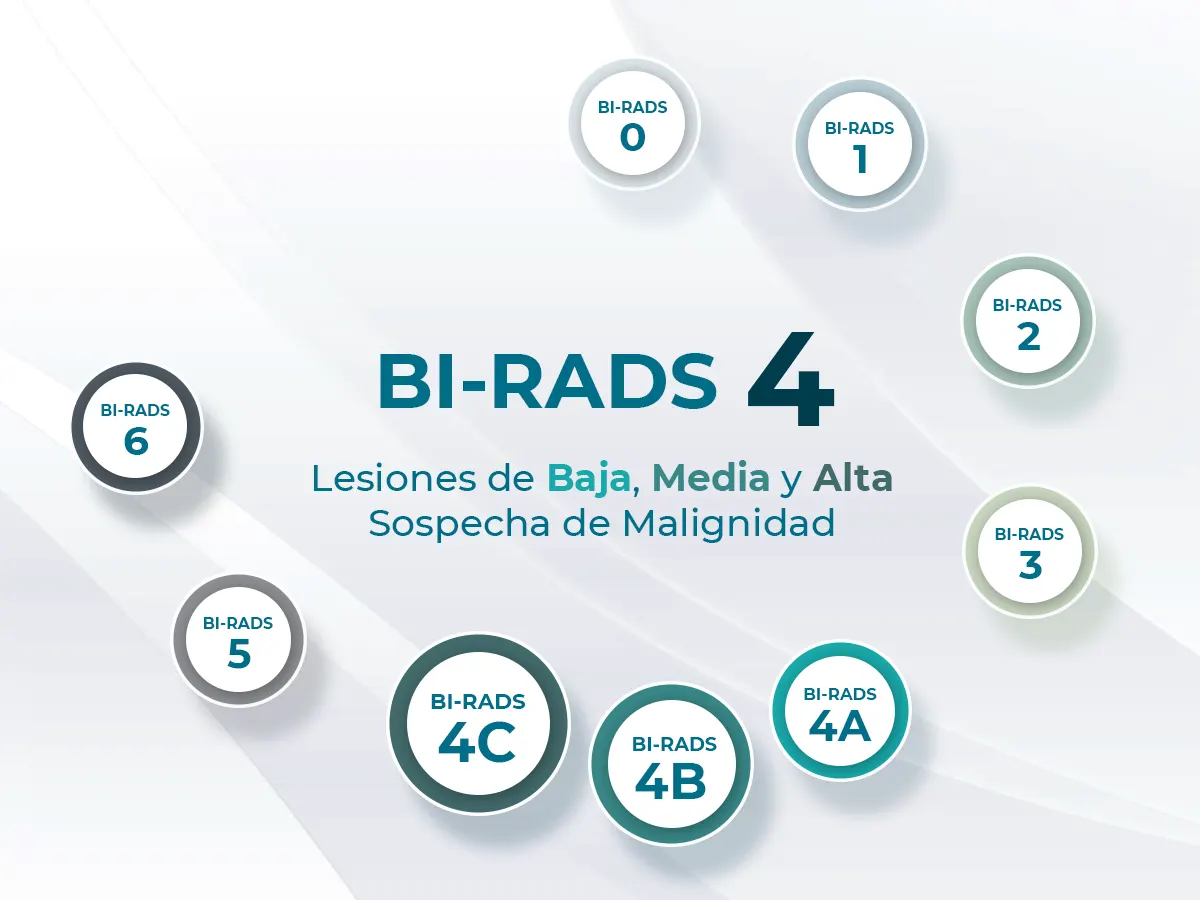 Infografía de Birads 4