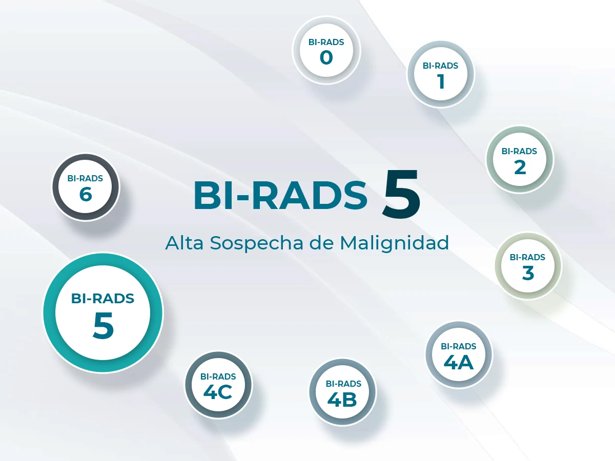 Infografía BIRADS 5