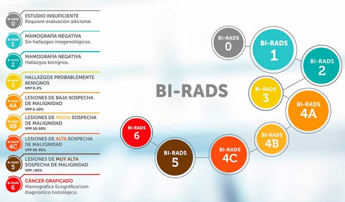 Birads 2 молочной железы. Маммография классификация bi-rads. Маммограмма заключение bi-rads 2. Классификация bi rads. Birads классификация.