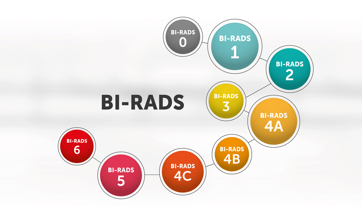 Qué es birads?