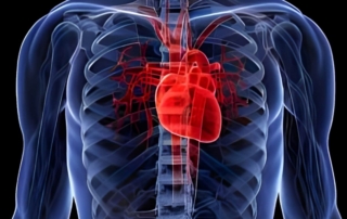¿Qué es la Miocarditis? Síntomas y Tratamiento