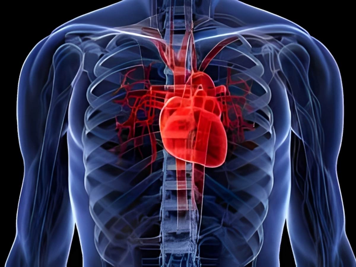 ¿Qué es la Miocarditis? Síntomas y Tratamiento