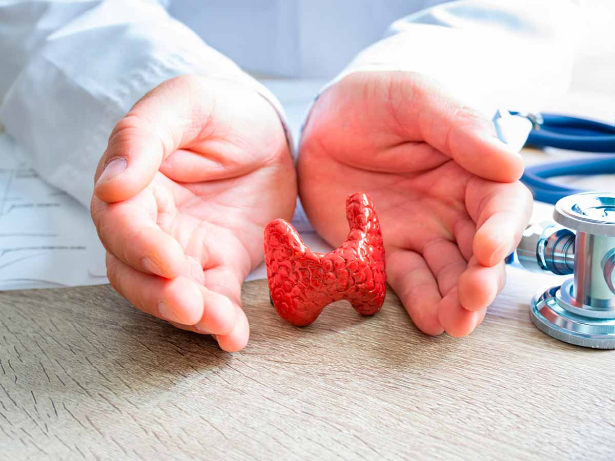 Médico mostrando en sus manos las neoplasias foliculares
