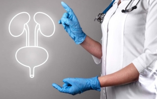10 funciones del sistema urinario