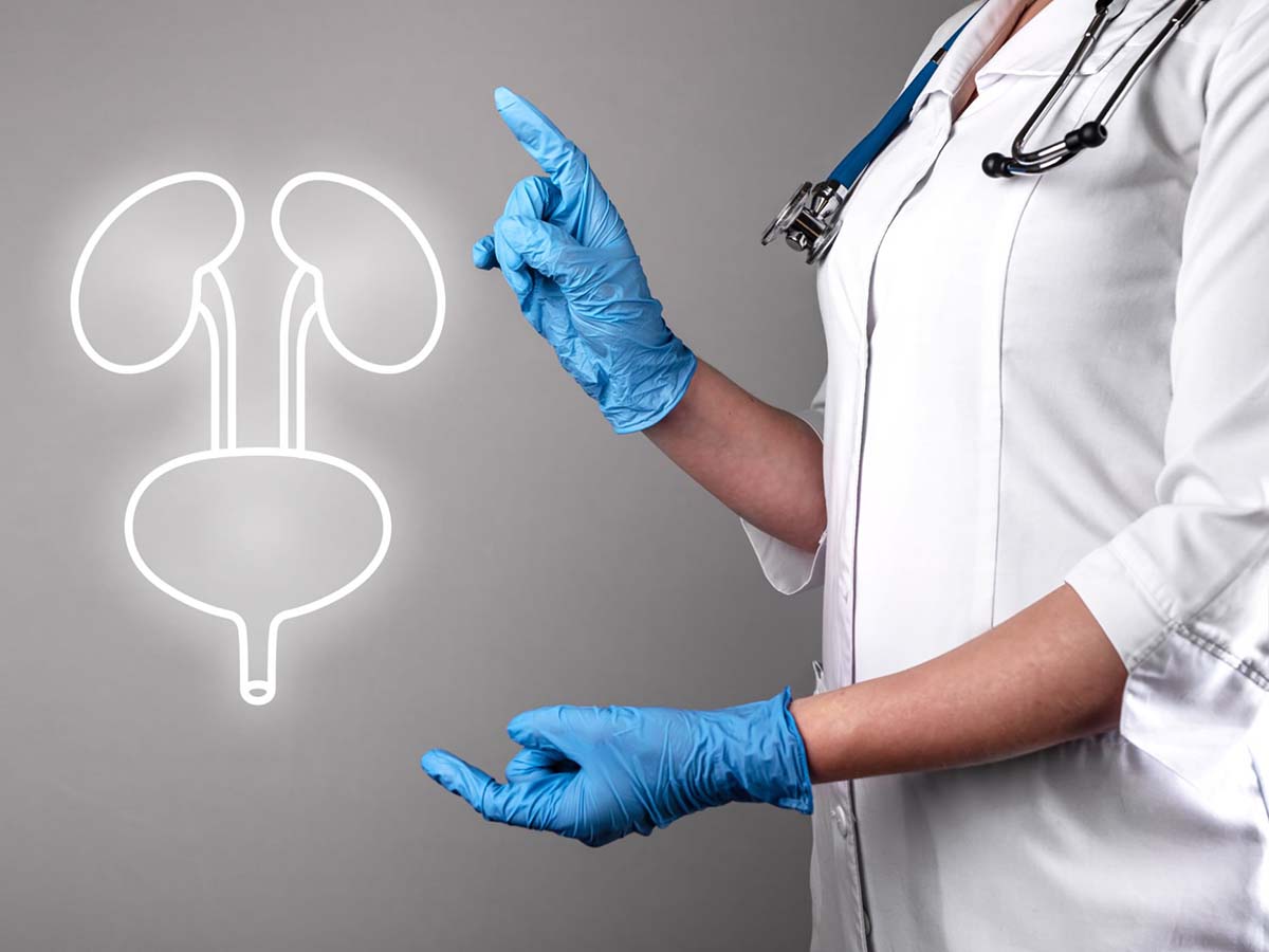 10 funciones del sistema urinario